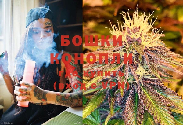 PSILOCYBIN Богородск