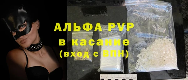 spice Богданович