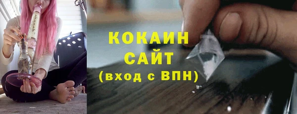 spice Богданович
