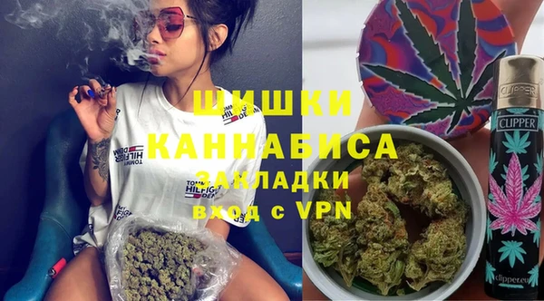 spice Богданович
