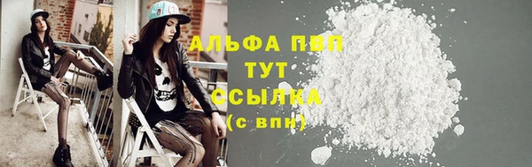 PSILOCYBIN Богородск