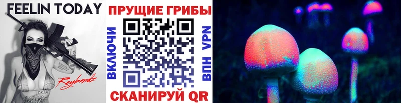 Купить закладки  Анадырь  Галлюциногенные грибы мицелий 